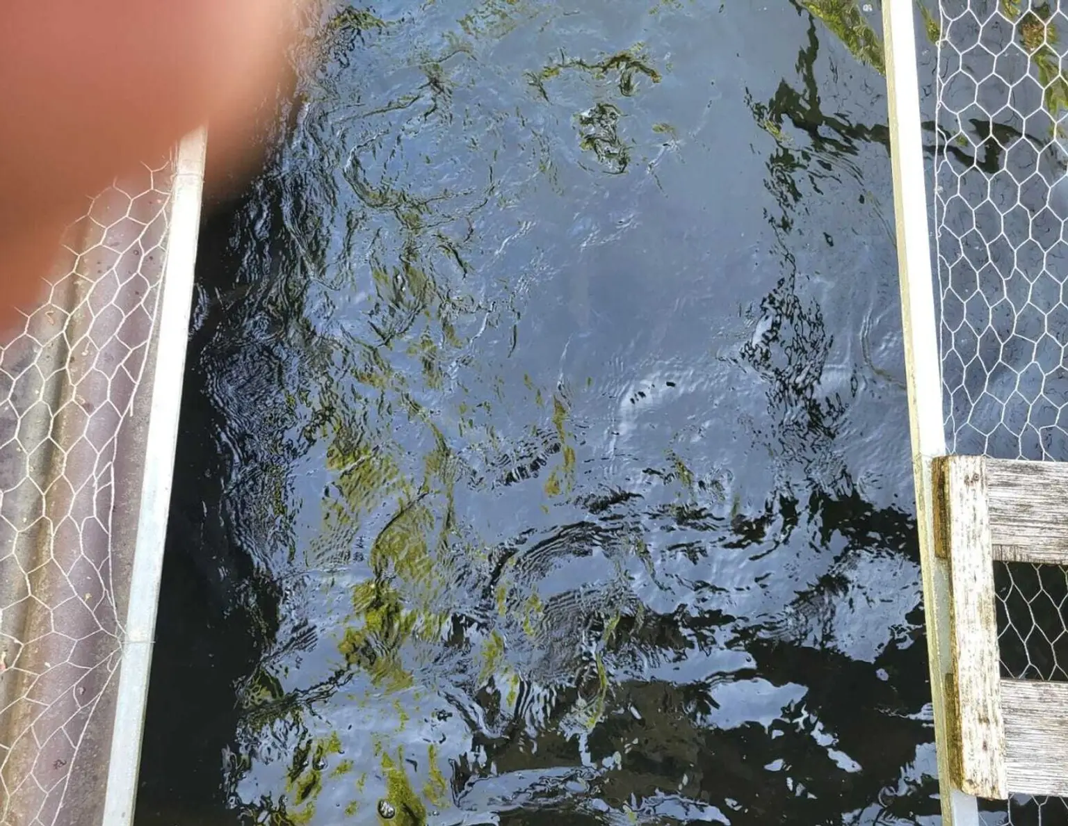 FREIZEITGRUNDSTÜCK mit BEWILLIGTER FISCHZUCHT inclusive 2 GARTENHÜTTEN (Wasserrechtsbescheid vorhanden)