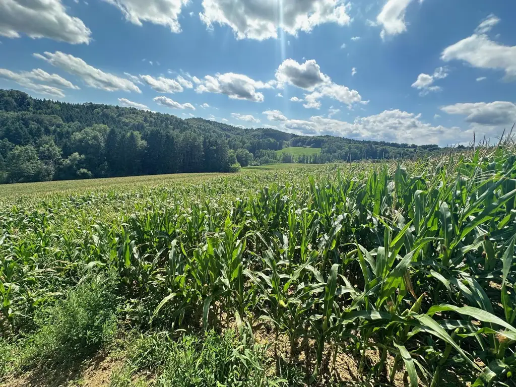 Natur Pur - Landwirtschaft mit Kellerstöckl