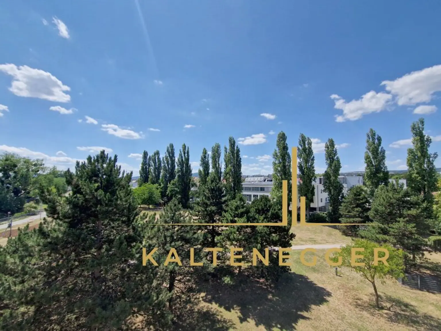 Blick von der Terrasse aus auf die grüne Landschaft