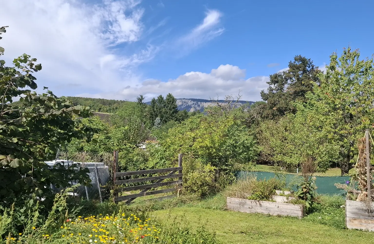Vielseitig nutzbare Liegenschaft mit ausreichend Platz und herrlichem Blick auf die Hohe Wand