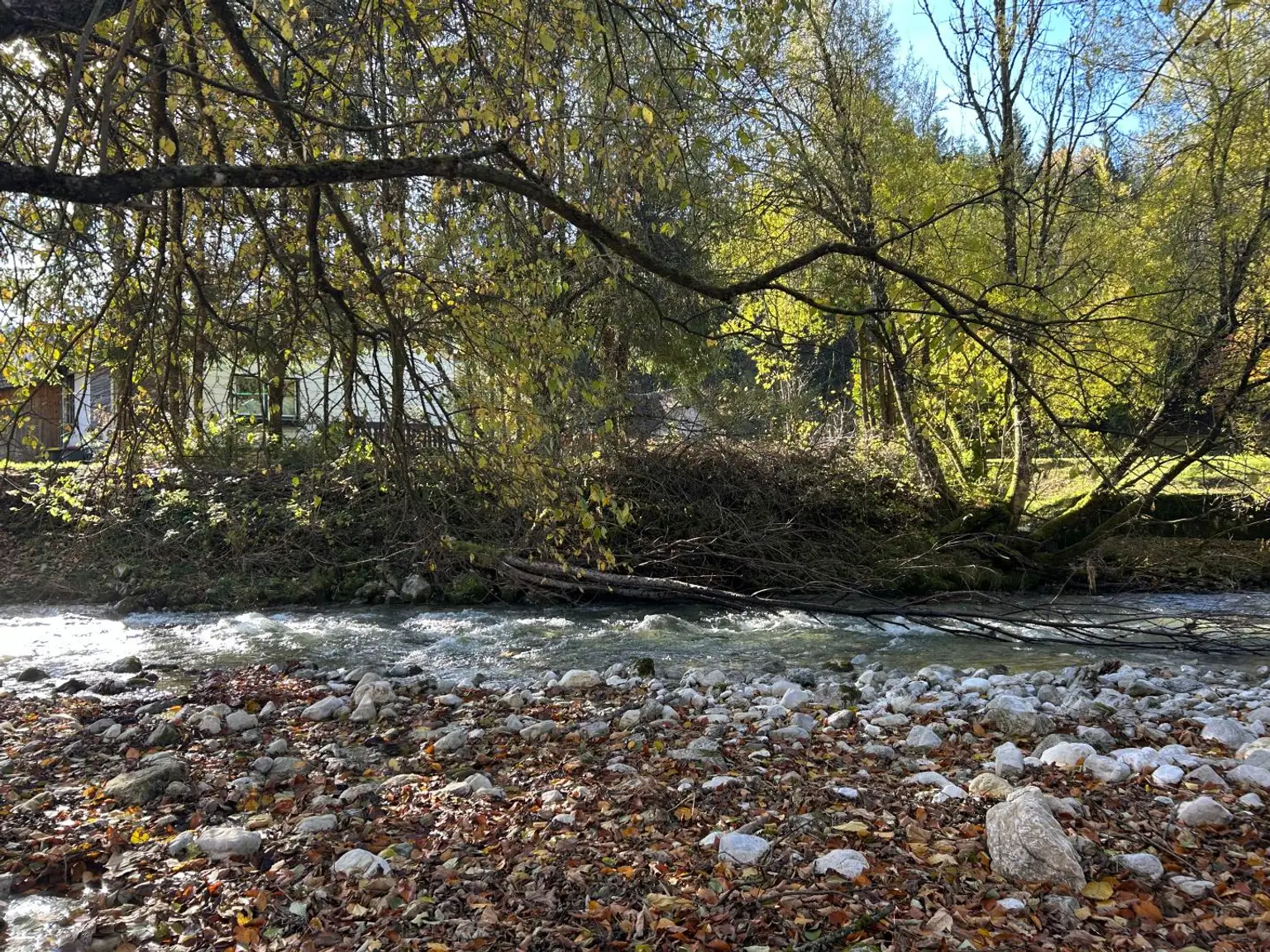 Gemütliches Zuhause in idyllischer Naturlage