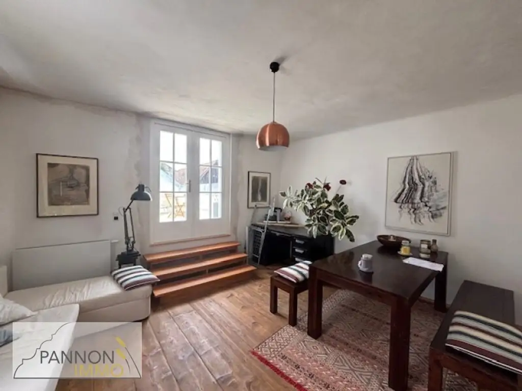 Breitenbrunn - historische (16.Jhd.), neu sanierte Wohnung samt Nebengebäuden und Garten im Ortszentrum