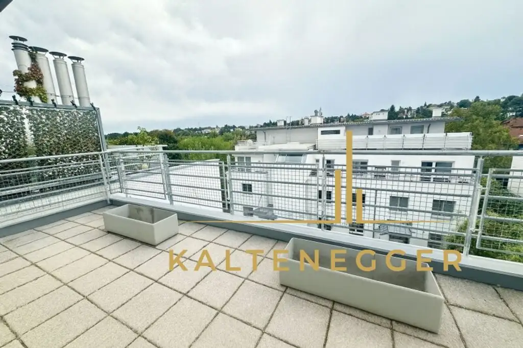 Traumhafte Dachgeschosswohnung am Fuße des Hackenbergs