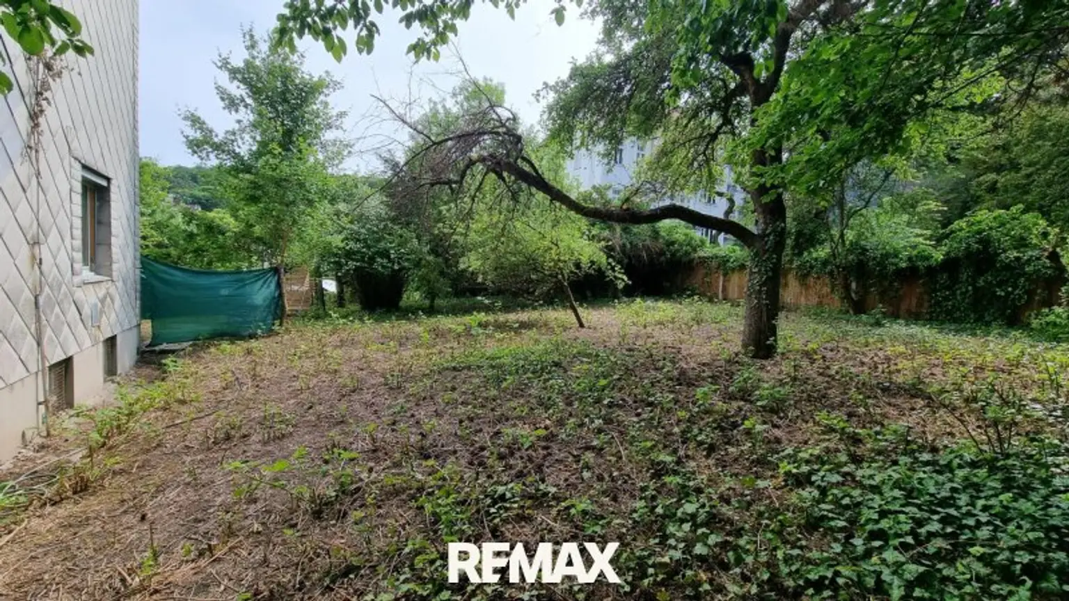 Garten hinter dem Haus