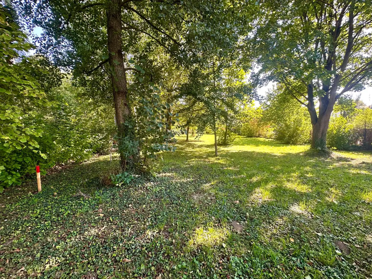 Sonniges Baugrundstück im Ortsgebiet Lanzendorf bei Mistelbach!