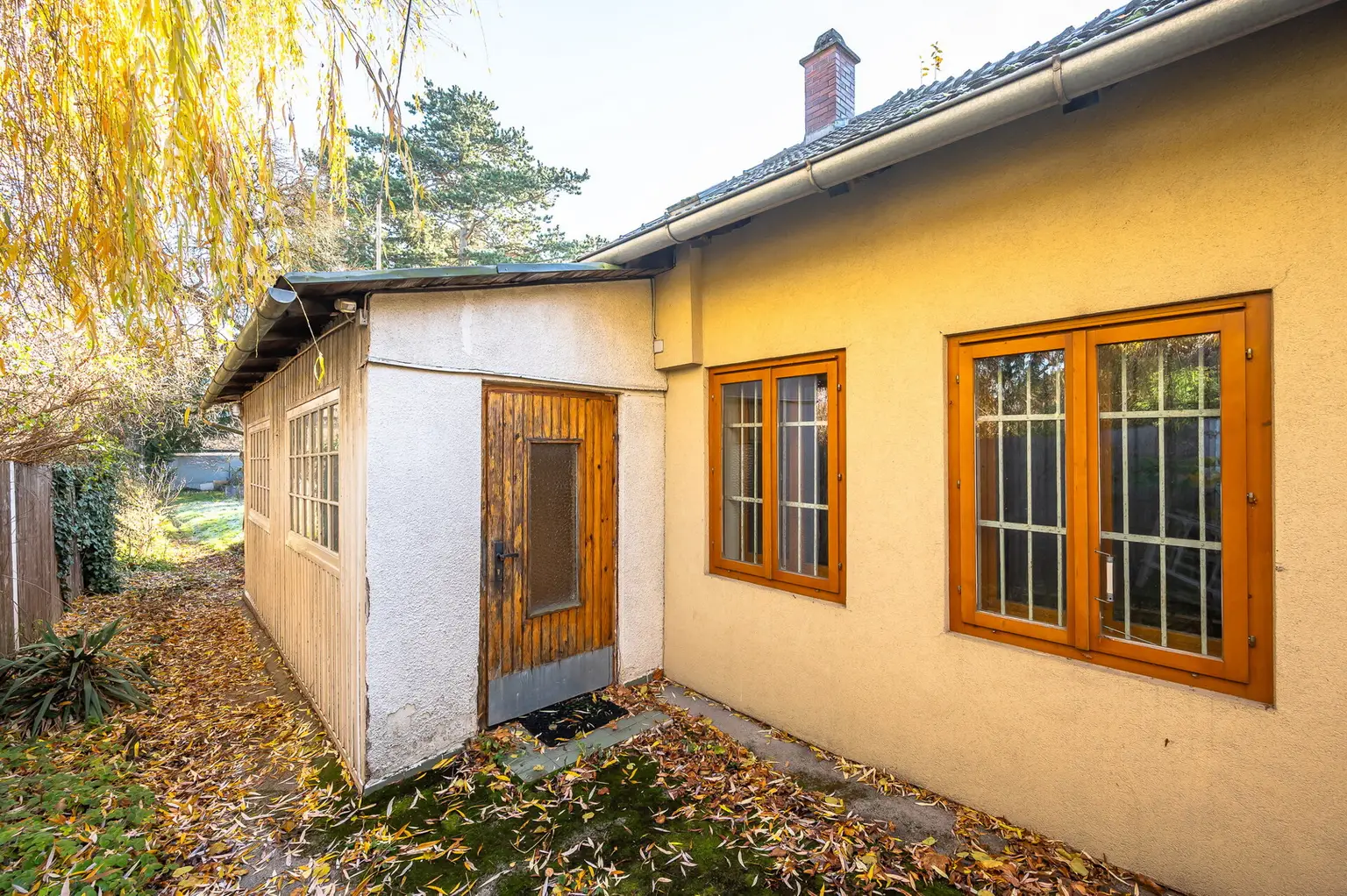 Altbestand im Grünland