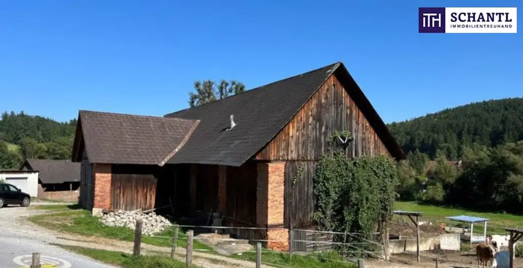 PFERDERANCH IN DER GRÜNEN STEIERMARK! Idyllischer Reiterhof in der Steiermark – Natur, Ruhe & Freiheit genießen! GLEICH ANFRAGEN UND BESICHTIGUNGSTERMIN VEREINBAREN!