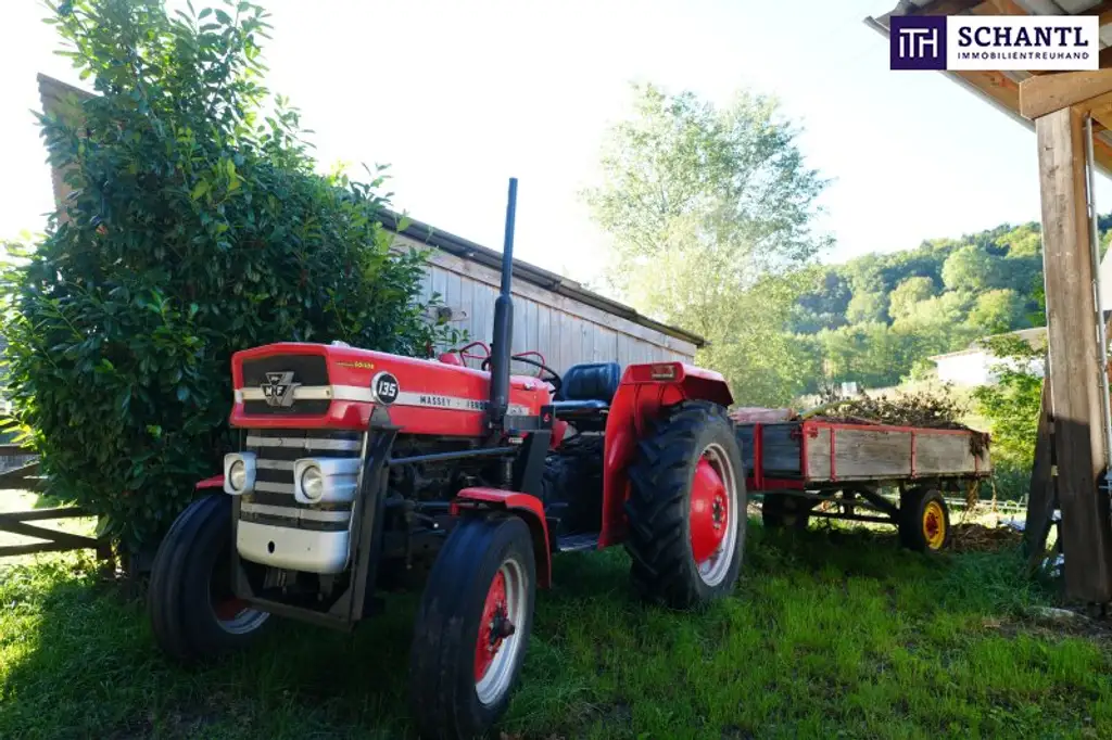 SENSATIONELLES JUWEL! Exklusiver Vierkanthof im Thermenland Steiermark – Wohnen, Reiten & Leben mit Pool und Natur!