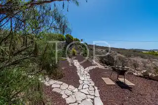 Finca-Guia-de-Isora-xxx-Tenerife-29