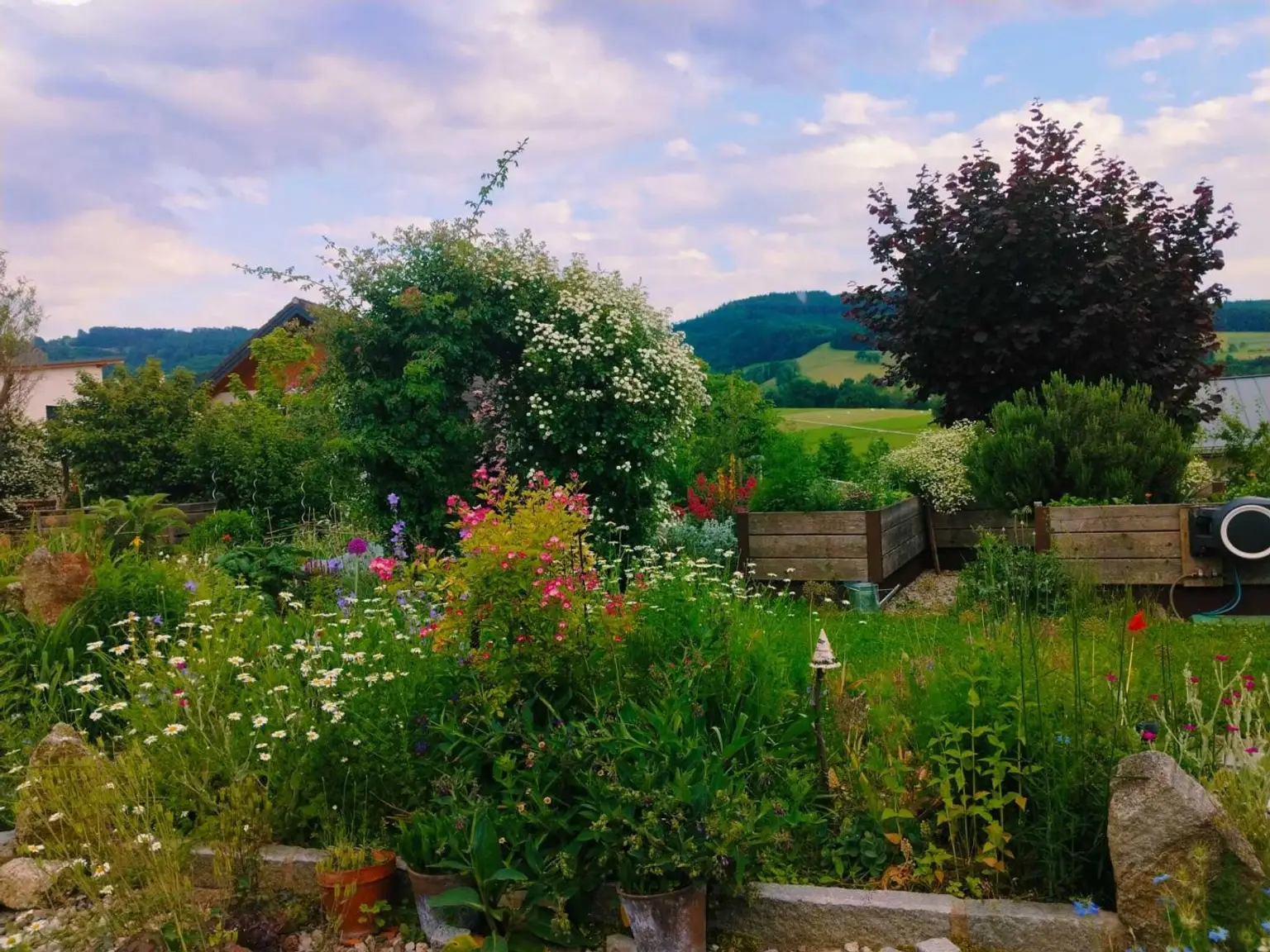Gartenansicht