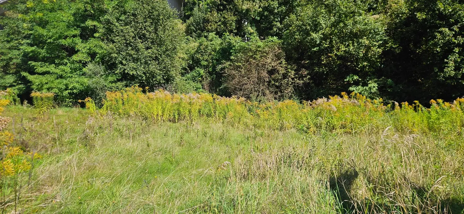 Grundstück in Imst – kompakte Größe, viele Optionen!