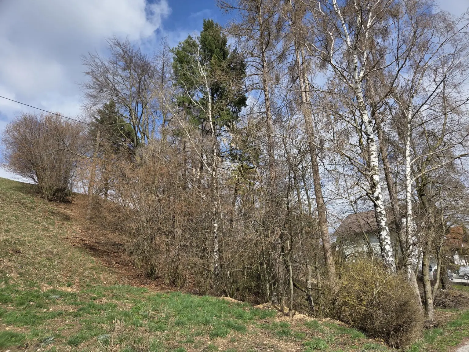 Schattenspender bereits vorhanden