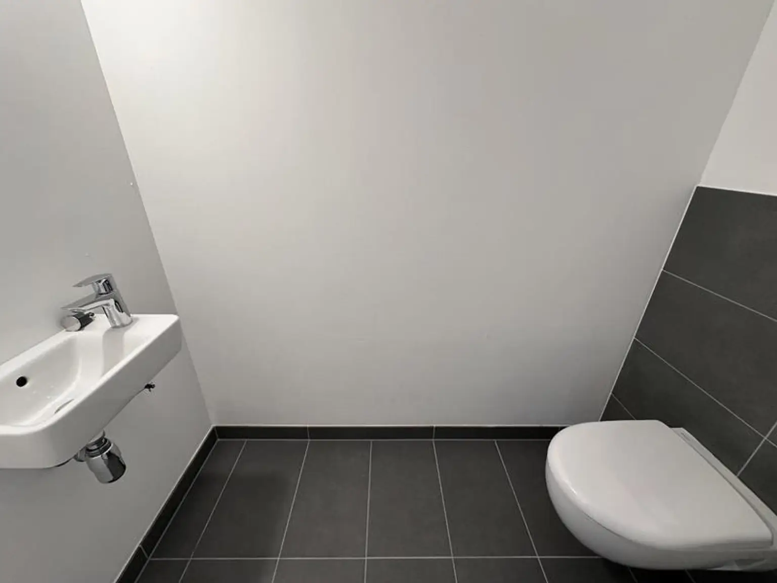 einen Katzensprung von Wien entfernt MIETE