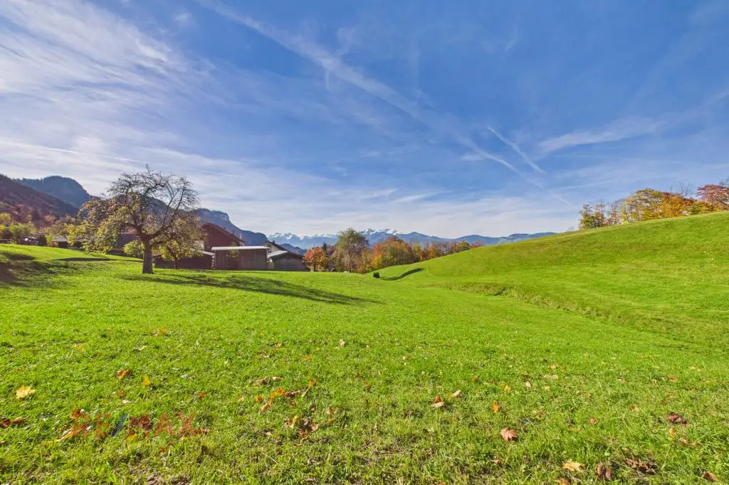 Ihr Rückzugsort in Hohenems/Emsreute – sonniges, ruhiges Grundstück