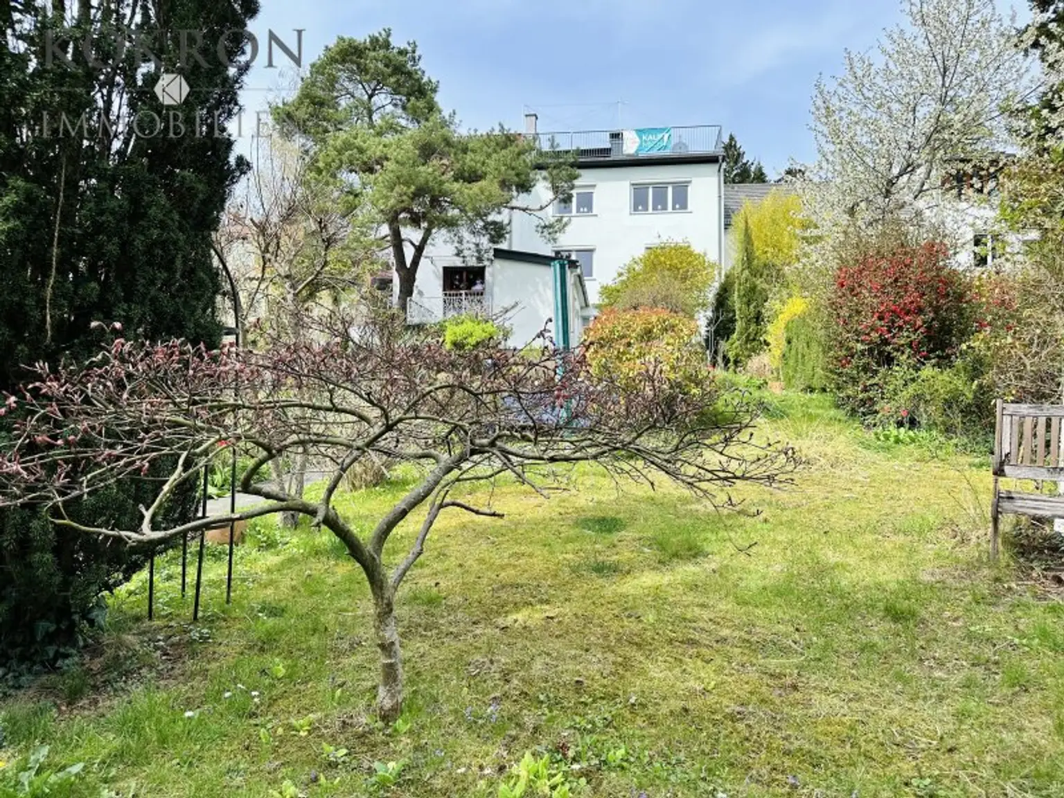 TRAUMLAGE am Wolfersberg mit Fernblick! Großzügiges Einfamilienhaus mit Garten, Dachterrasse und viel Platz!