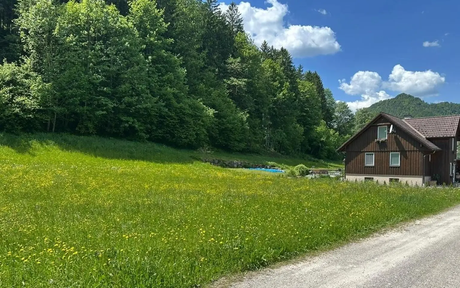 Bild1