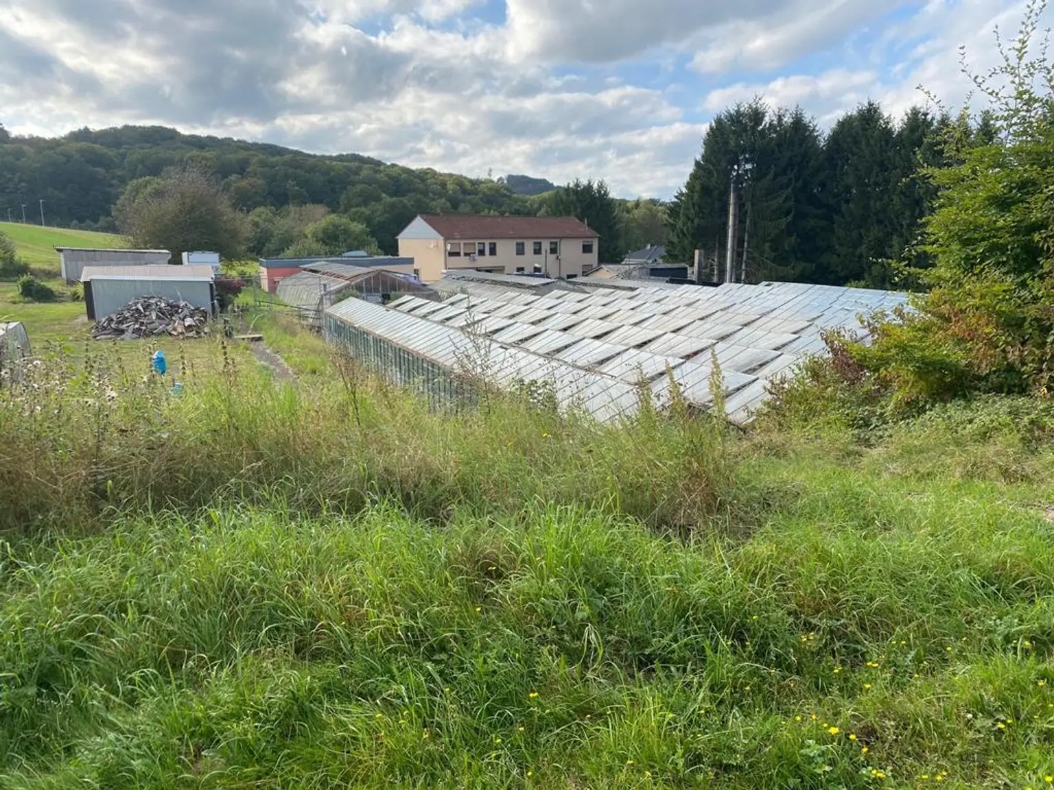 Enormes Entwicklungspotential...! 
Gärtnerei mit Verkaufspavillon, Gewächshäuser, 2-FH + Appartment
