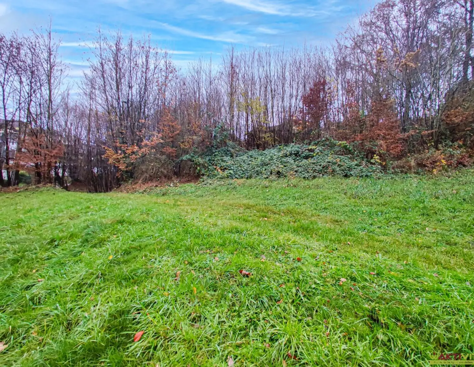 Wohnbau-Grund mit Waldanteil zentral in Lambach. - Infrastruktur und Bahn fußläufig. - Unter 15 Min. nach Wels.
