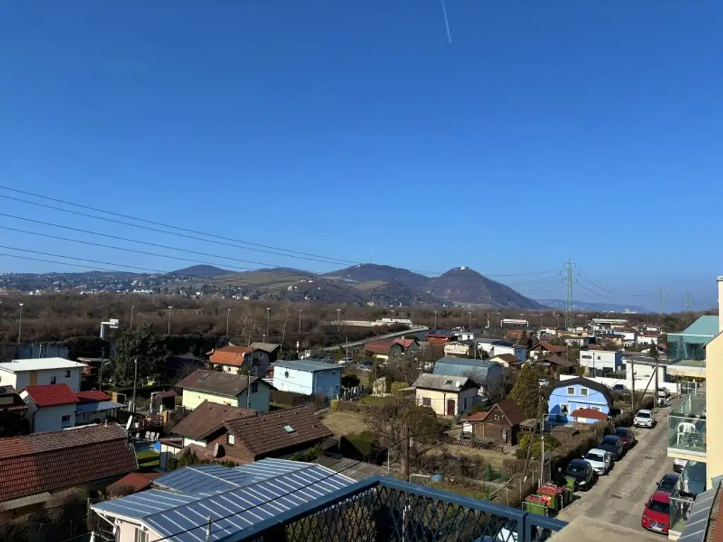 ERSTBEZUG | Außenflächen mit direktem Blick auf den Kahlenberg | vollausgestattete Küchen | Fußbodenheizung und Fußbodenkühlung