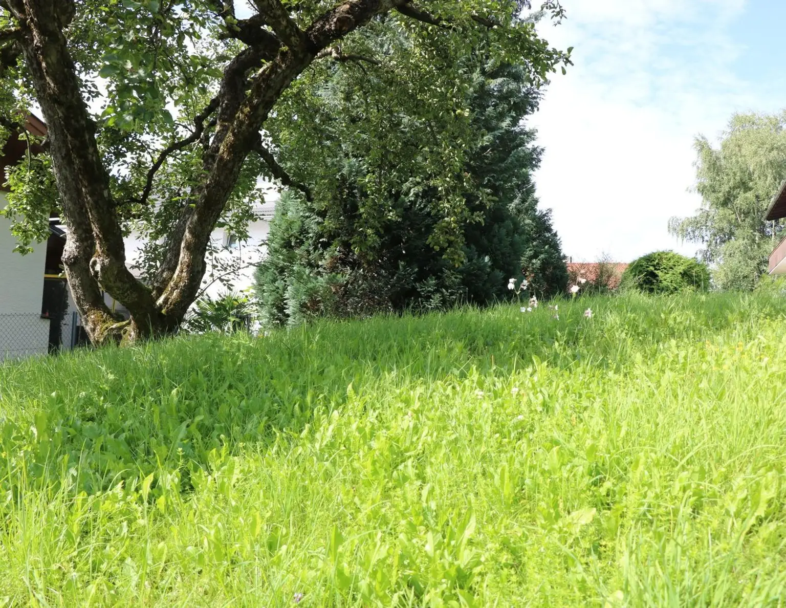 Seltene Gelegenheit: Grundstück für Einfamilienhaus in Arzl