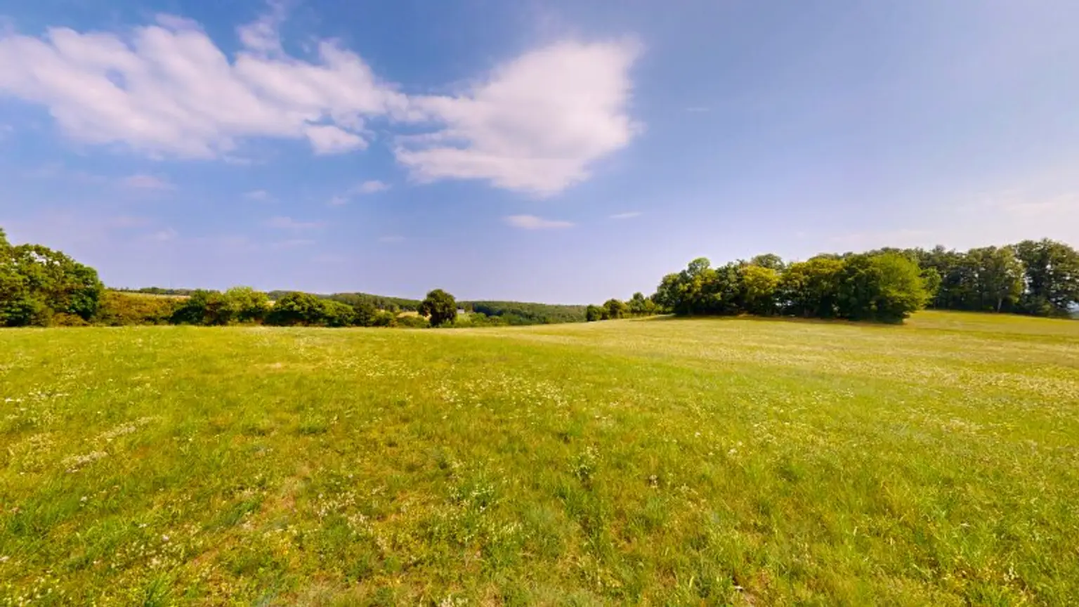 Grundstück mit Baumbestand für landwirtschaftliche Zwecke | 60.053 m² | Schwarzenbach in der Buckligen Welt