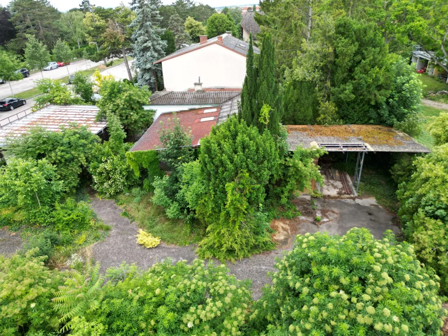 dji_fly_20260610_112810_615_1781088385083_photo