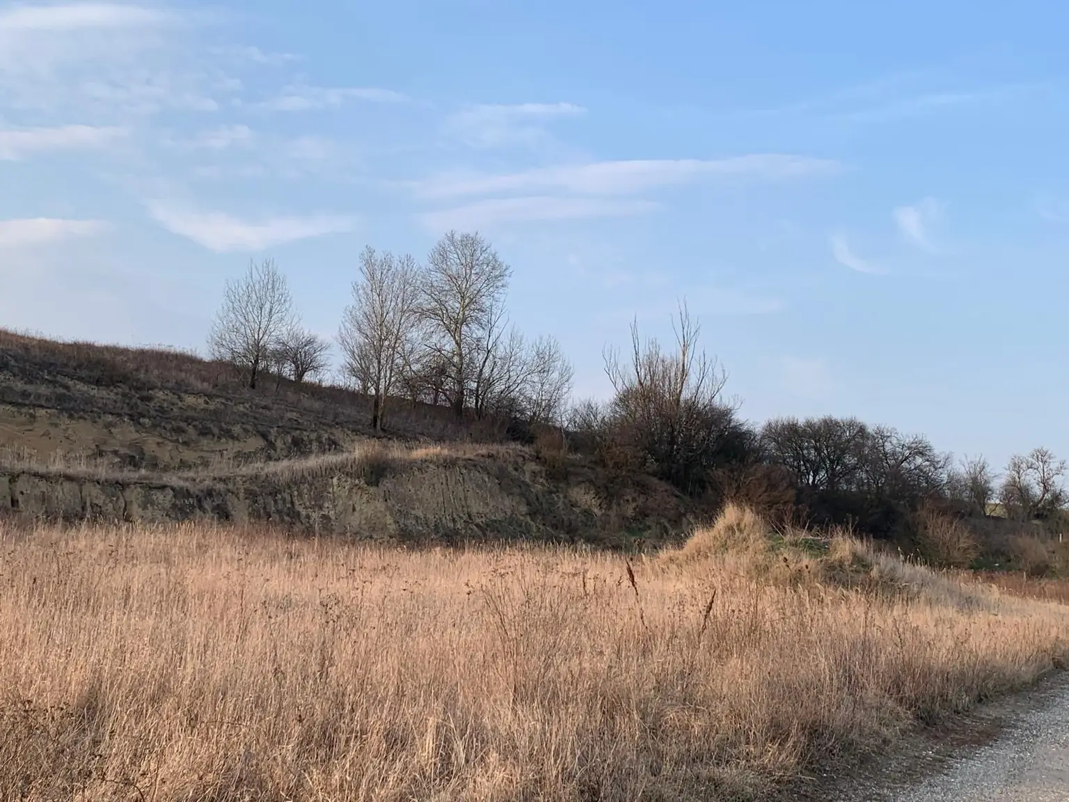 INDUSTRIEGRUNDSTÜCK - 40 Minuten vor Wien