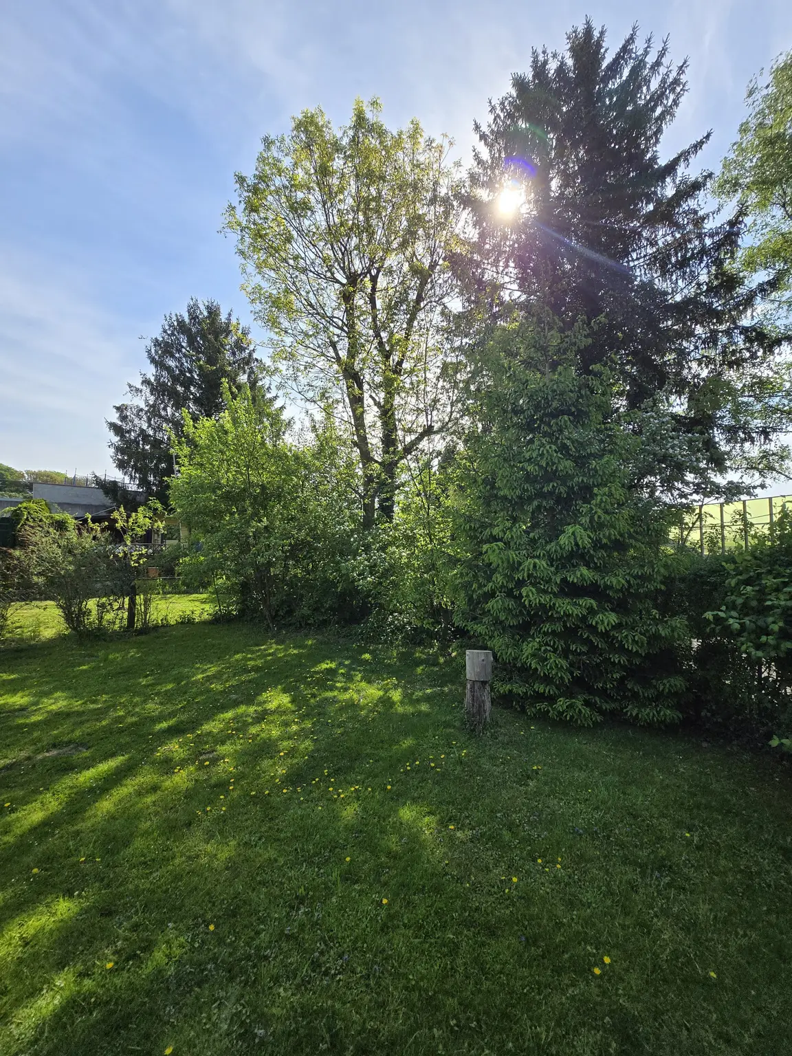 Sonniger Garten (Süden)