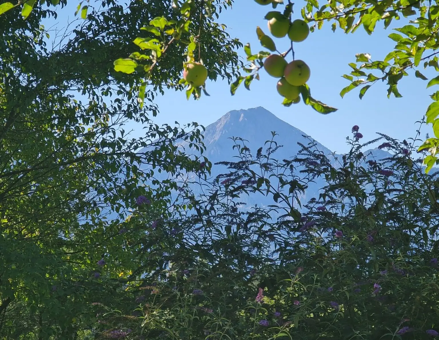 Einzigartiges Paradies für Mensch und Tier in herrlicher Aussichtslage