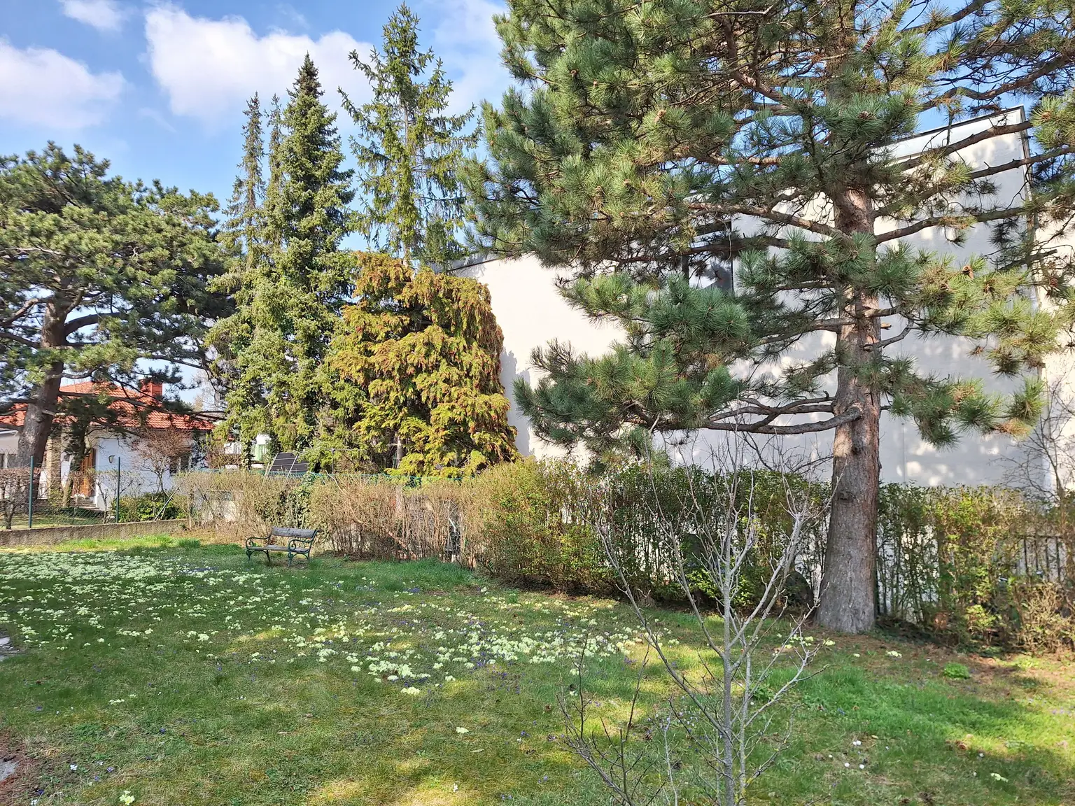 Rarität - Dekorativer Fassadenschmuck aus den 1930er Jahren - Nahe Maurer Wald und Lainzer Tiergarten