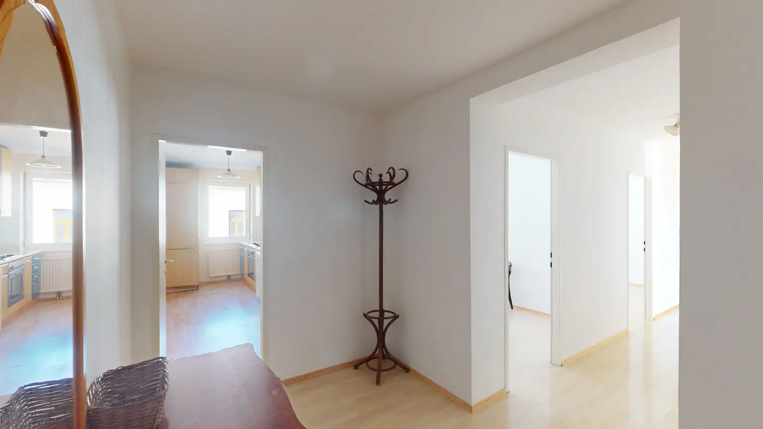 Grünblick mitten in der Josefstadt