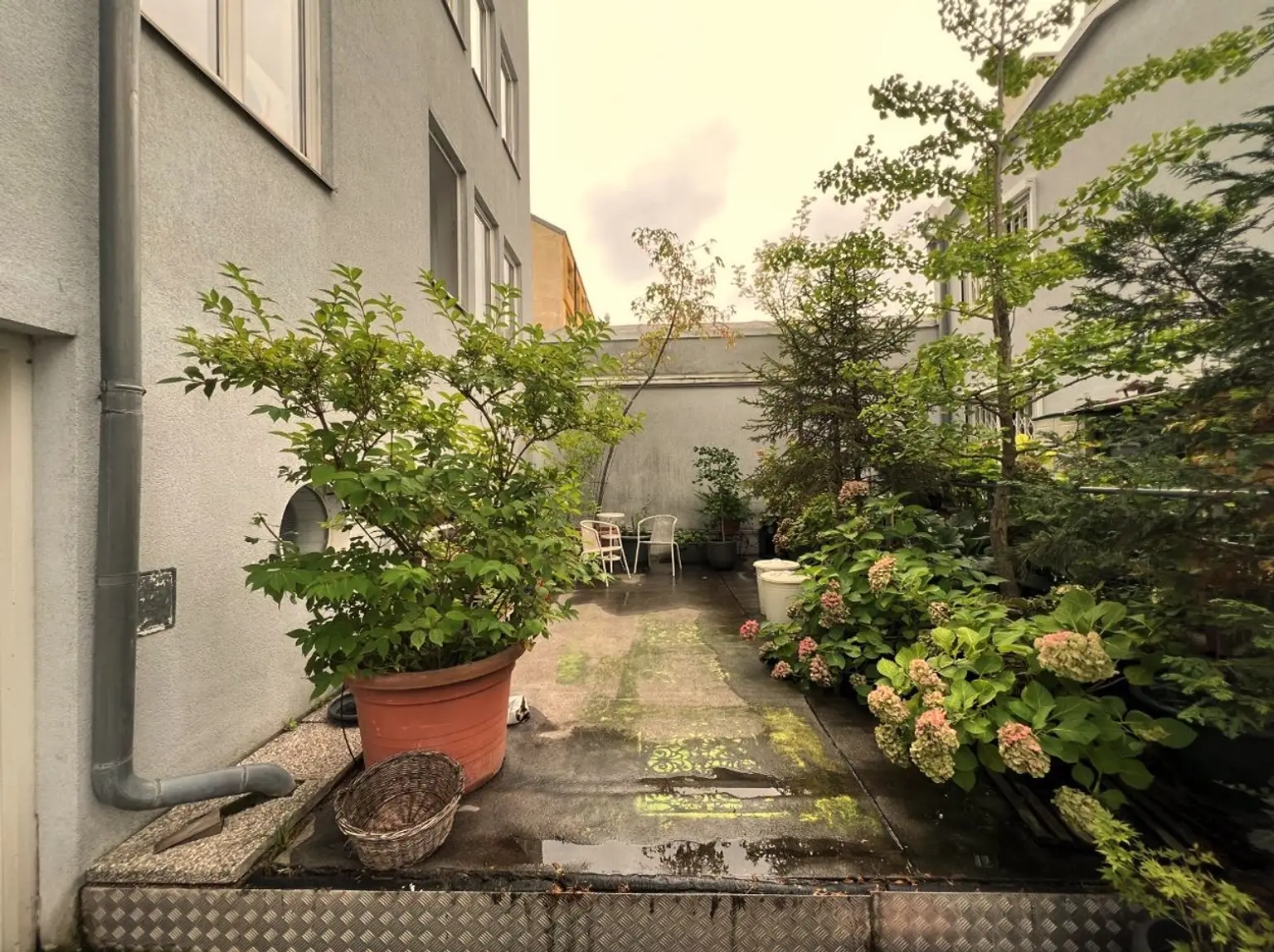Dachgeschosswohnung, 2 Zimmer Nähe Klinik Ottakring