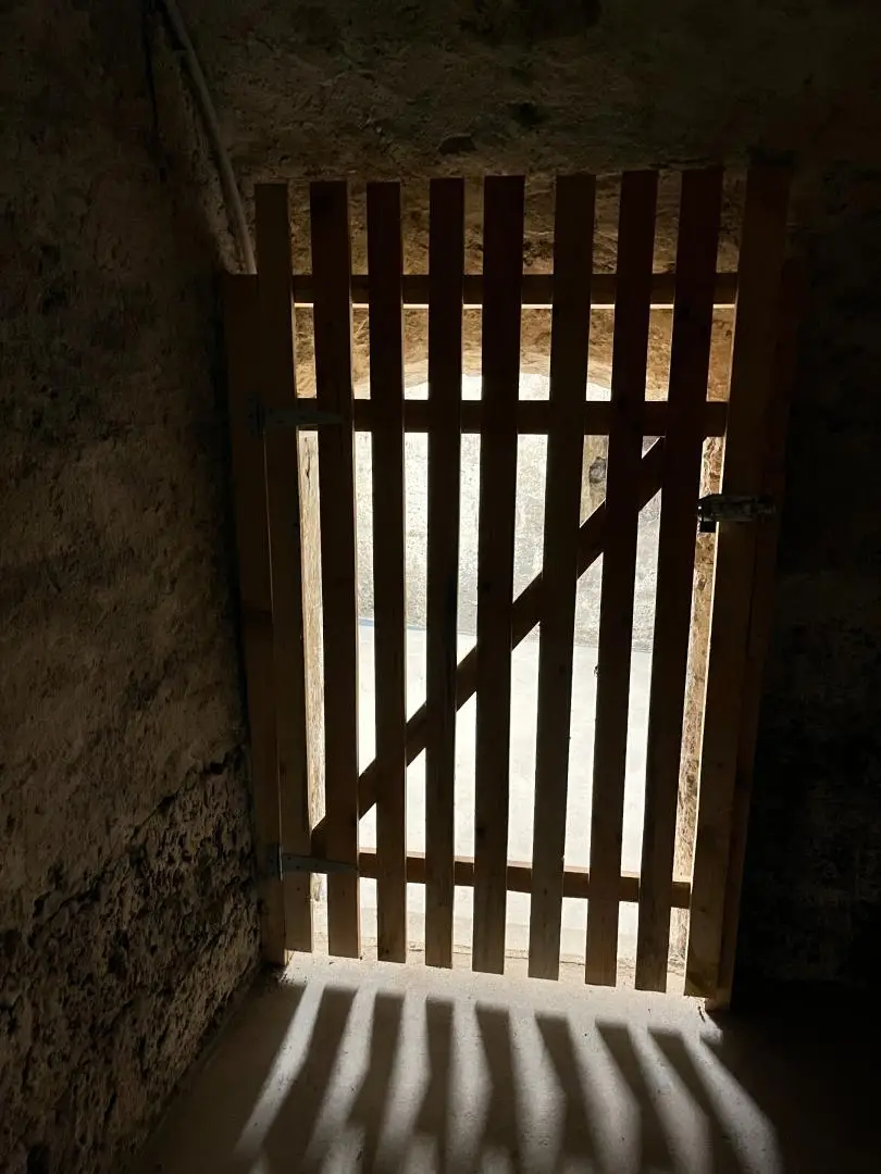 26-01-19 14-10-29 0777