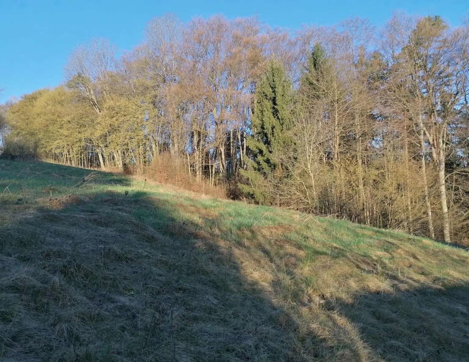 Liegenschaft mit Hofstelle - St. Nikolai im Sausal