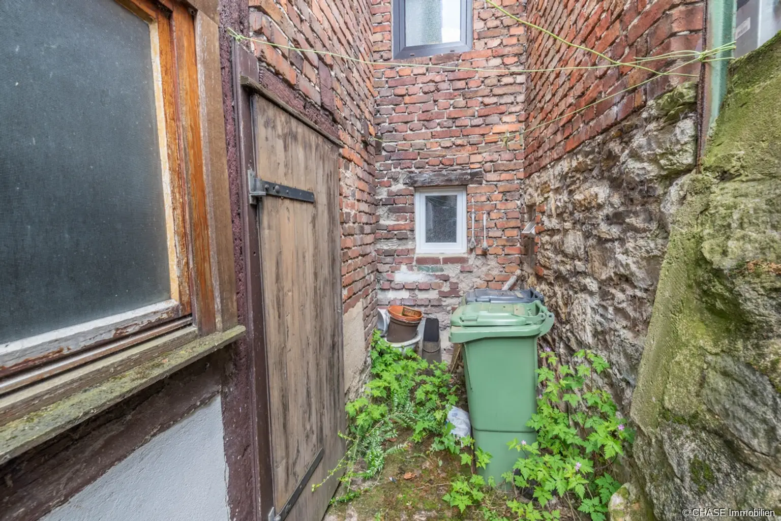 Hinterm Haus 3