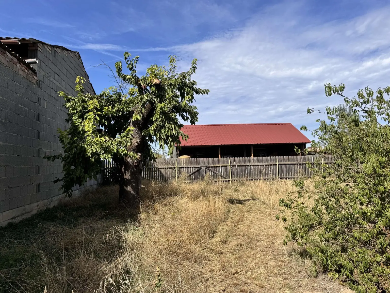EFH 3481 Fels-Garten