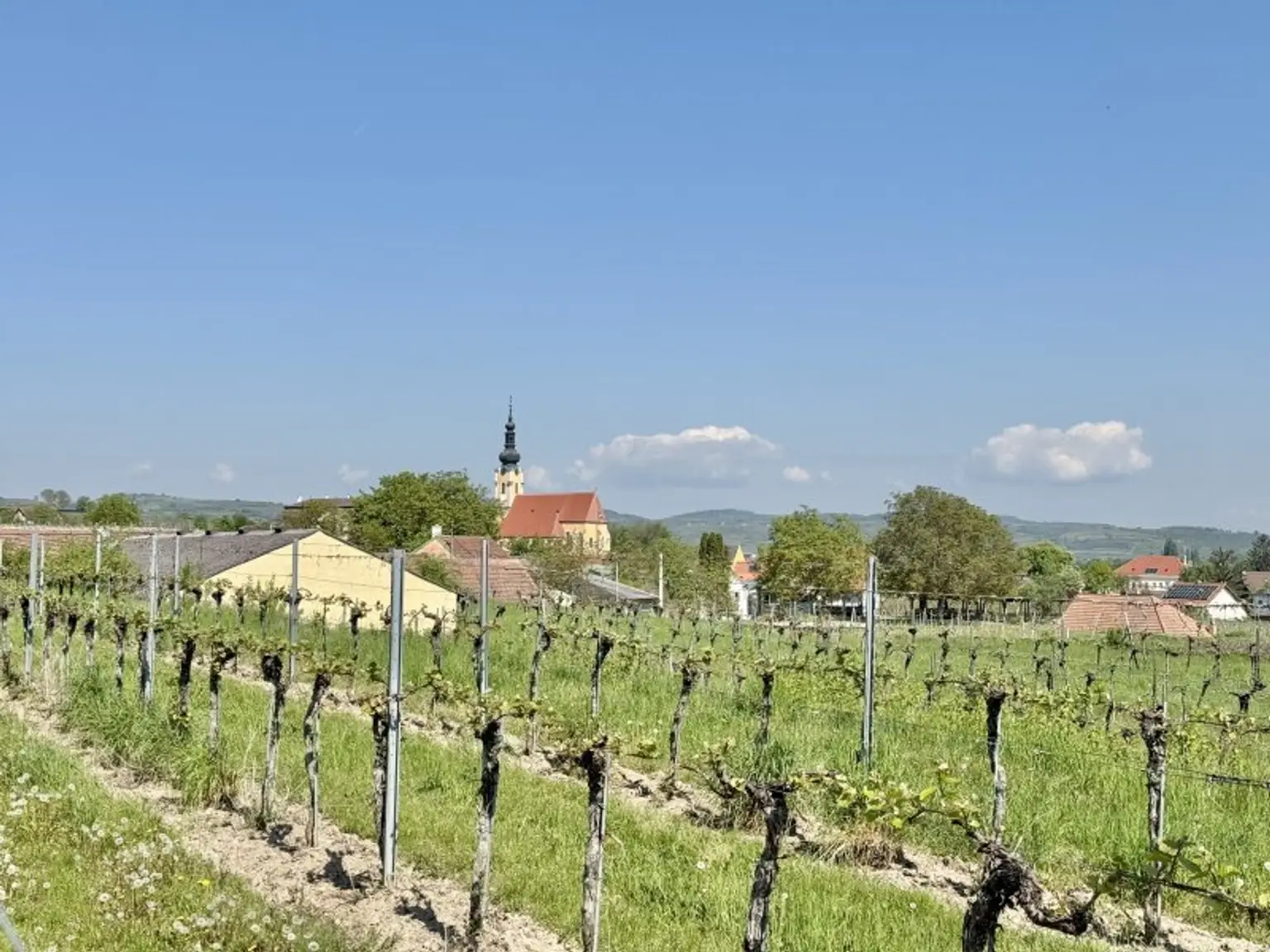 Weinkeller in idyllischer Kellergasse | Nähe Langenlois