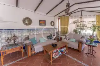 Finca-Candelaria23