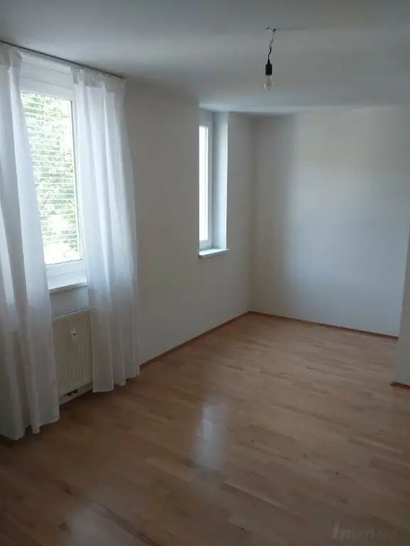 Zimmer 2
