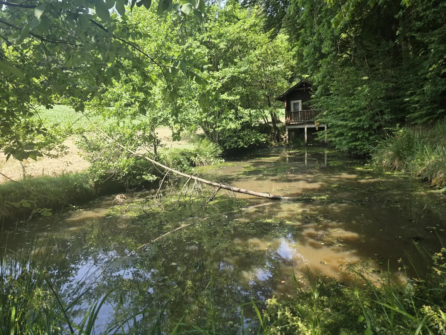 Bauernhaus (stark sanierungsbedürftig) mit viel Grund und kleinem Teich