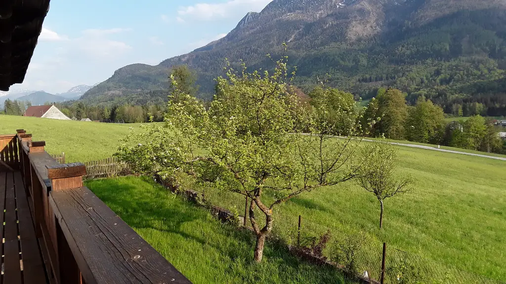 Eine Wohnung mit Garten, zwischen Strobl und Bad Ischl.