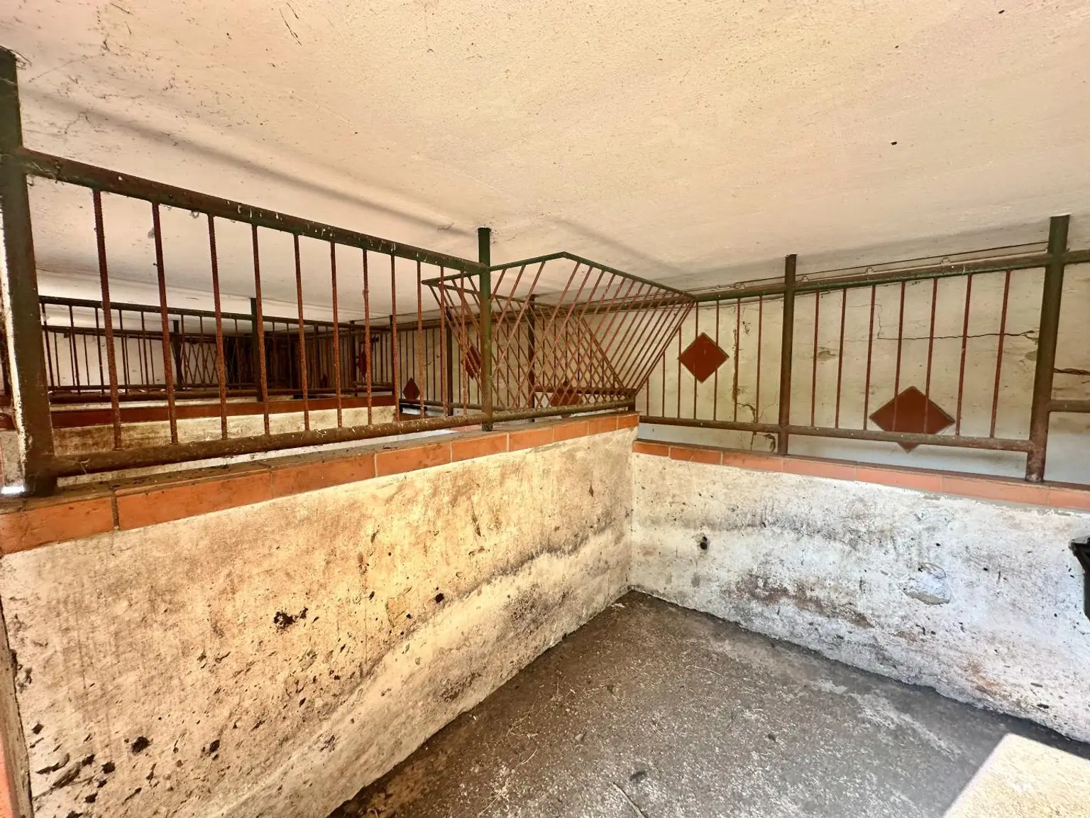 Reiterparadies im Weinviertel – Ihr Traum vom Landleben!