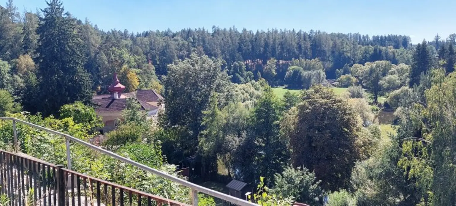HISTORISCHER CHARME: BURGIDYLL - MODERNES DACH MIT ALTEN MAUERN IN MALERISCHER LANDSCHAFT