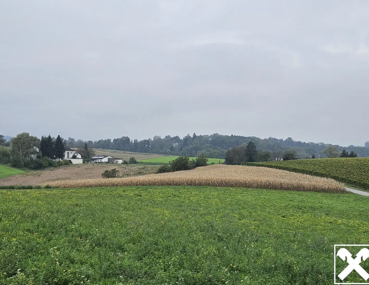 Landwirtschaftlicher Nutzgrund direkt an Aichbergstraße