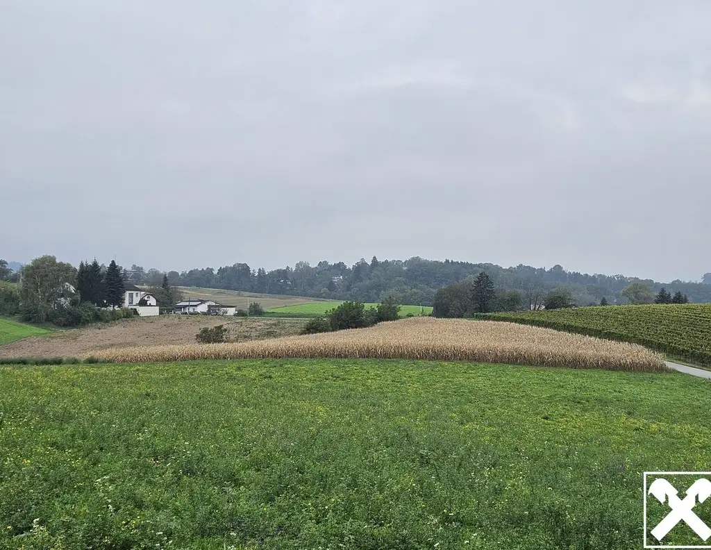 Landwirtschaftlicher Nutzgrund direkt an Aichbergstraße