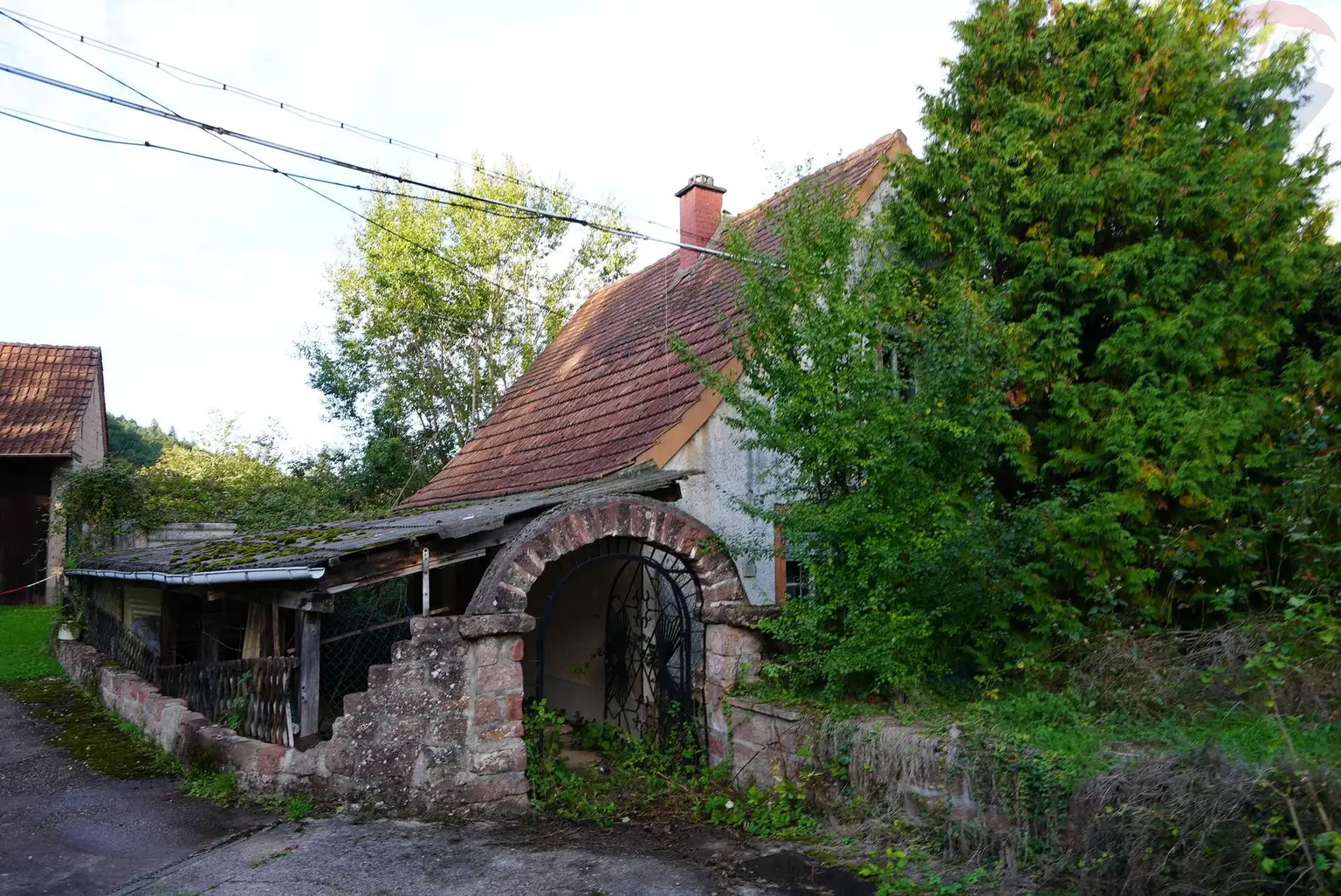 DSC05992