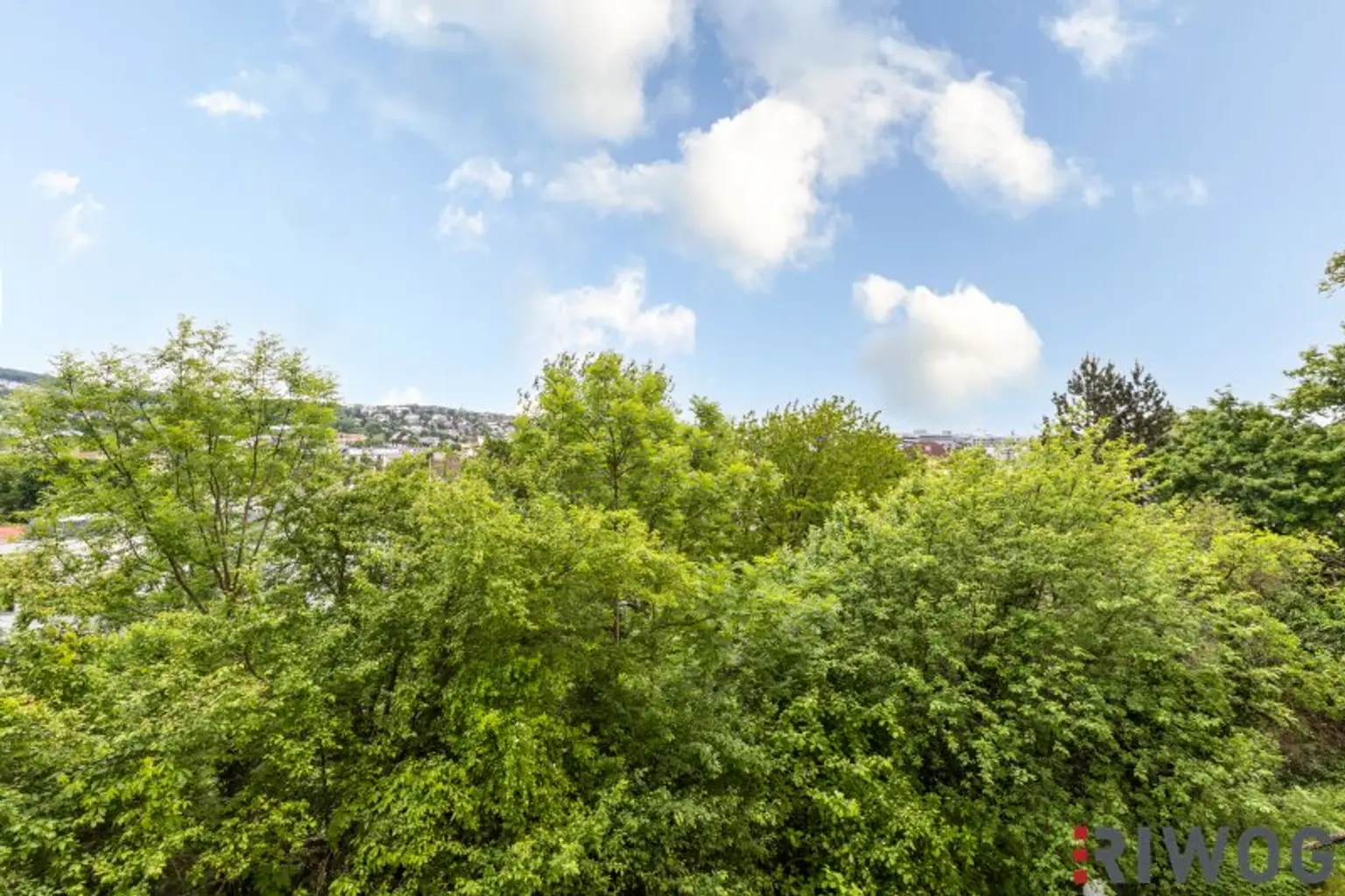 WIENTALBLICK | Lichtdurchflutete Wohnung in der historischen Villa Seutter mit 4,4m Raumhöhe & Blick auf denkmalgeschützte Linde | sanierungsbedürftig | + Garten optional