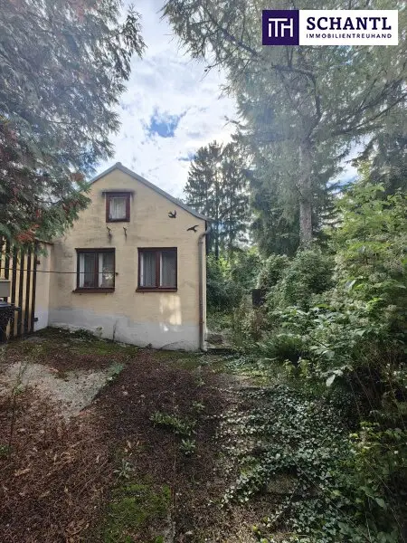 Ein Platz für echte Landliebhaber - und ein Paradies für Selbermacher! Verwirklichen Sie Ihren Wohntraum in idyllischer Umgebung von Sitzendorf