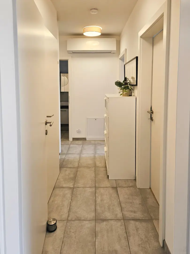 WhatsApp Image 2026-03-19 at 21.35.56