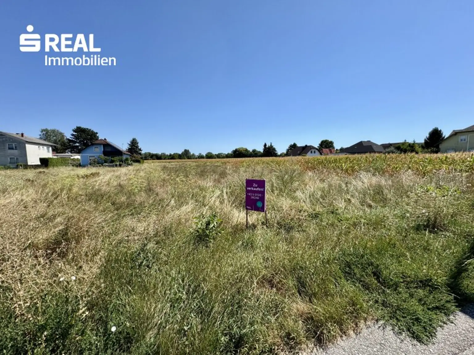 Ansicht 4